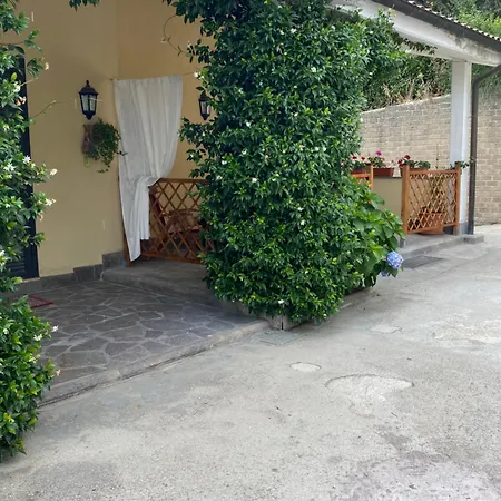 Alma Luna *