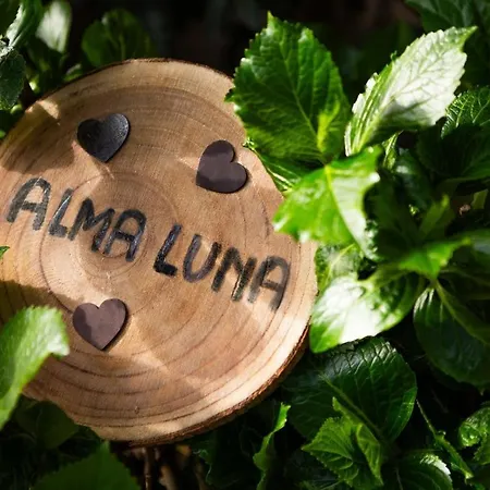 Alma Luna